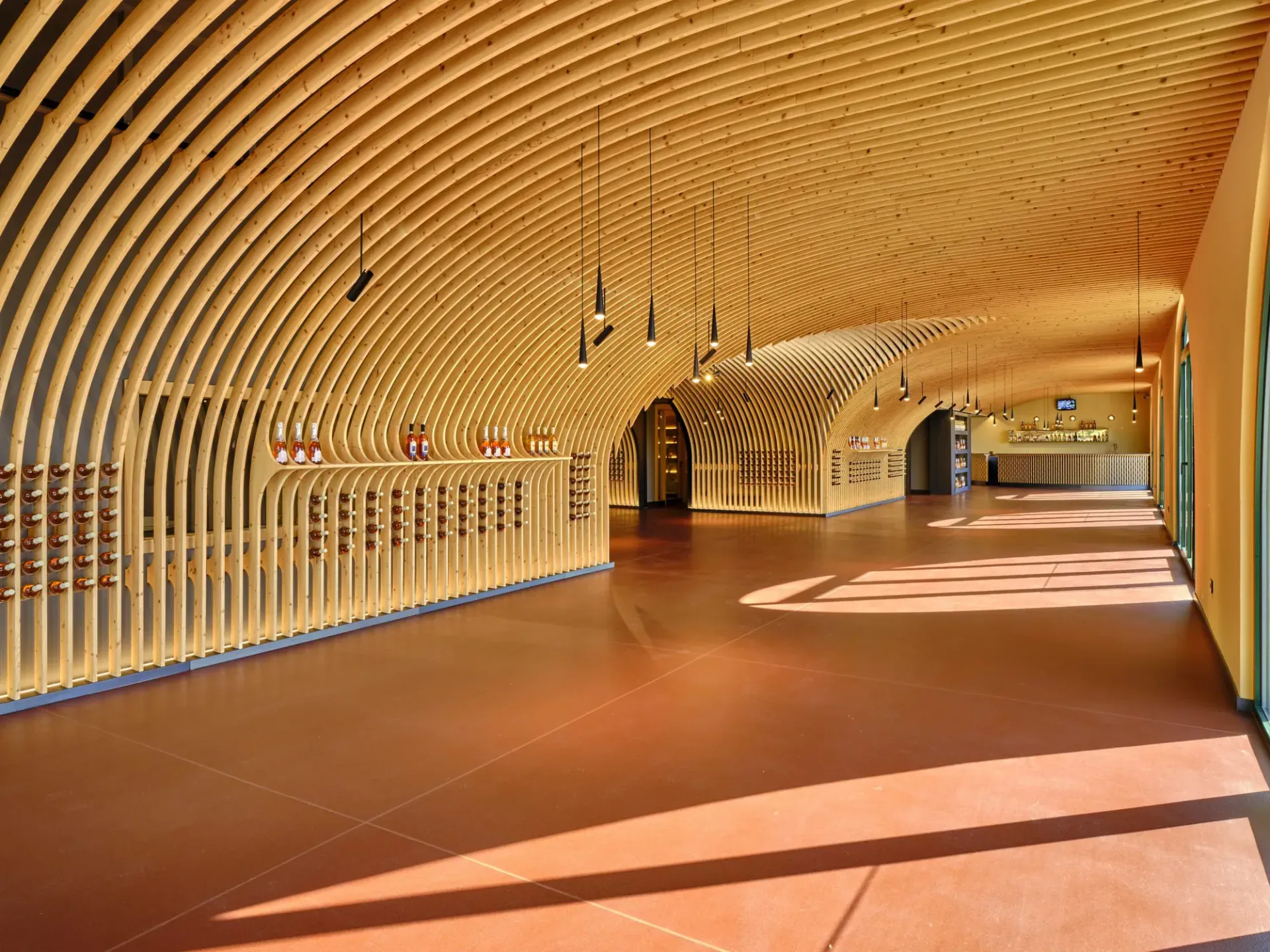 Cantina Vini Colombo sul lago di Garda, VR, foto 3. Progetto di Riccardo Bandera Architetto
