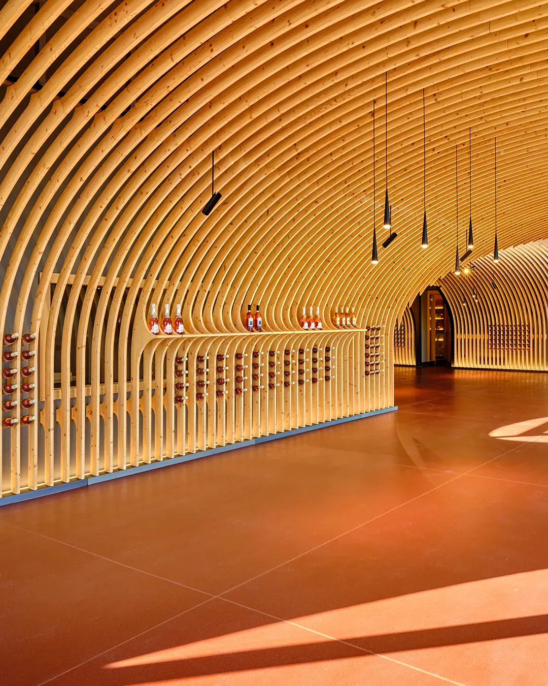 Cantina Vini Colombo sul lago di Garda, VR, foto 4. Progetto di Riccardo Bandera Architetto