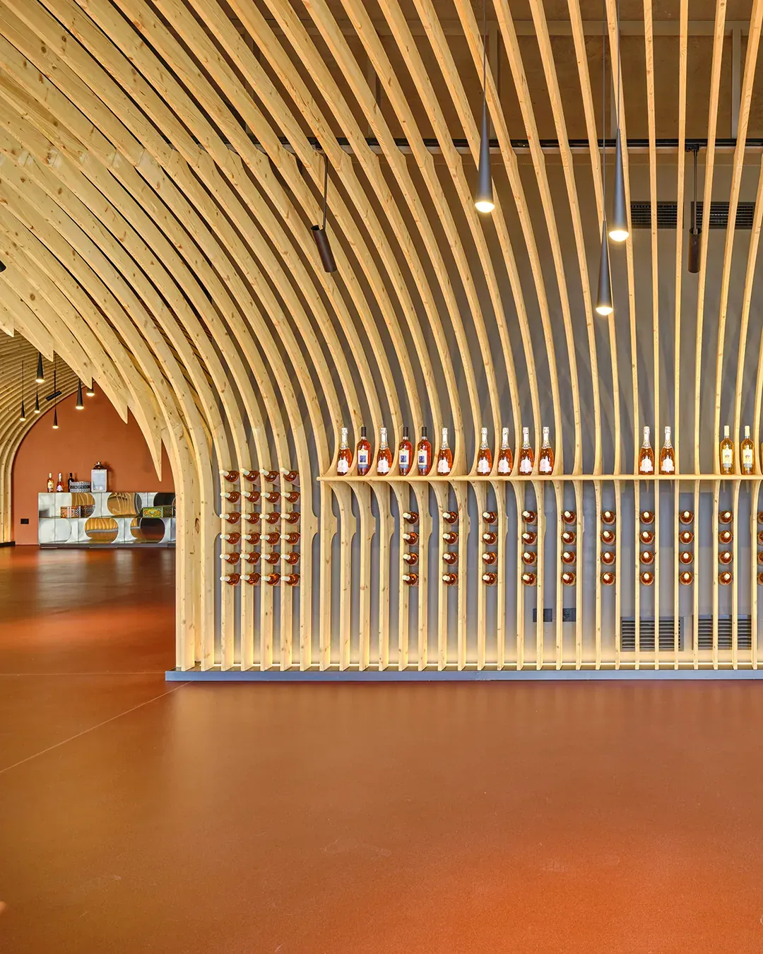 Cantina Vini Colombo sul lago di Garda, VR, foto 7. Progetto di Riccardo Bandera Architetto