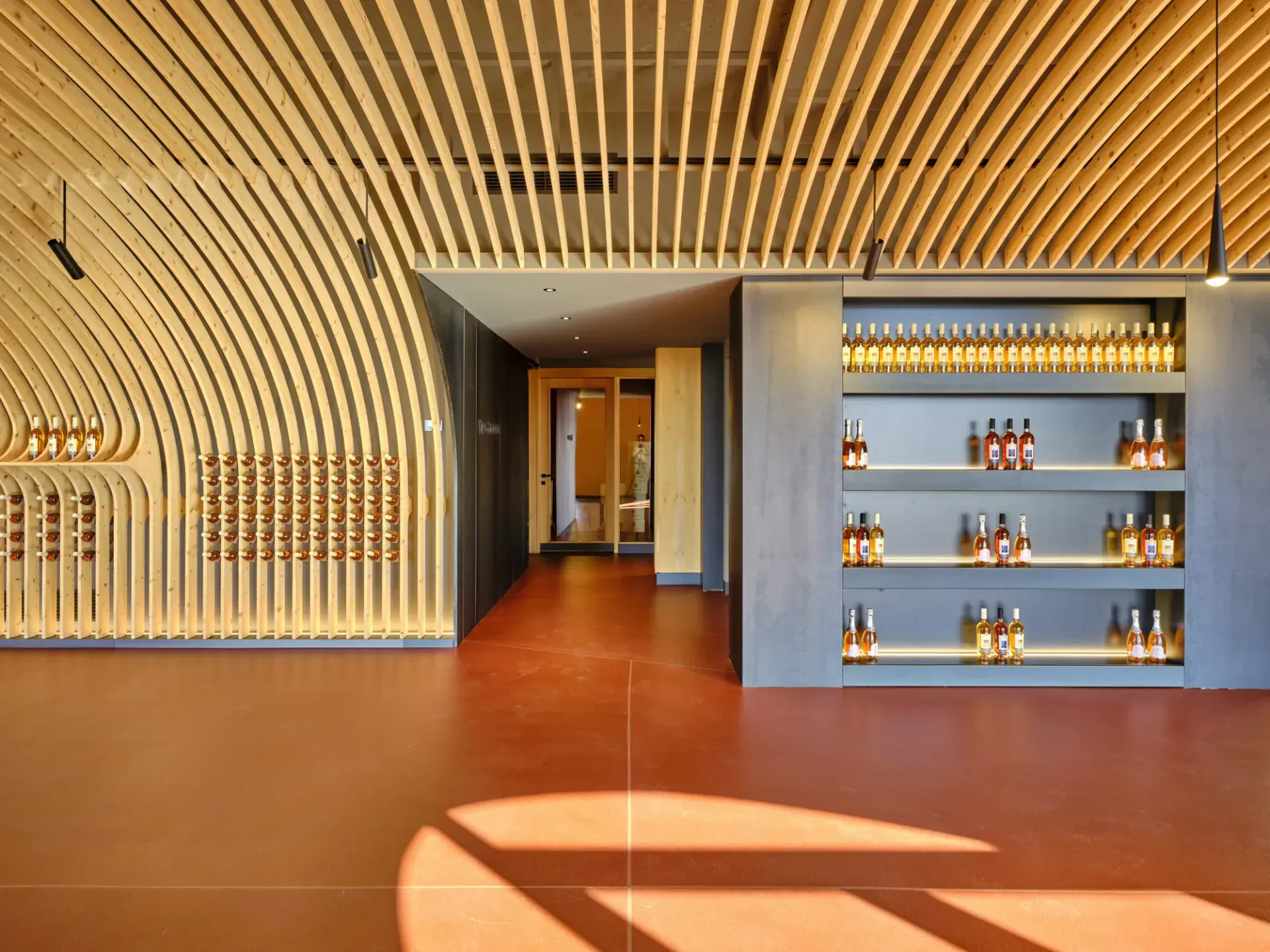 Cantina Vini Colombo sul lago di Garda, VR, foto 8. Progetto di Riccardo Bandera Architetto